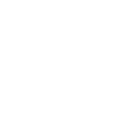 Digital Marketing Agency in Kansas City