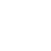 Digital Marketing Agency in Kansas 
